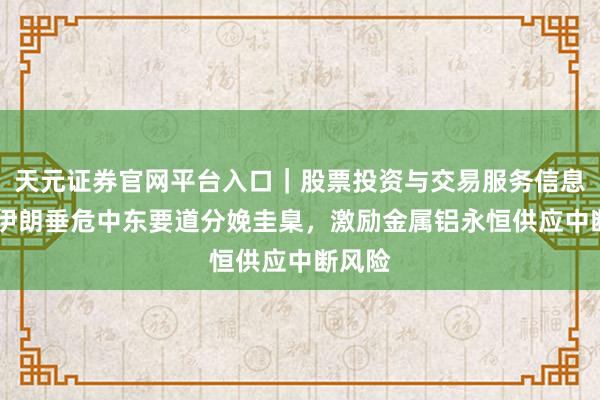 天元证券官网平台入口｜股票投资与交易服务信息整理 伊朗垂危中东要道分娩圭臬，激励金属铝永恒供应中断风险