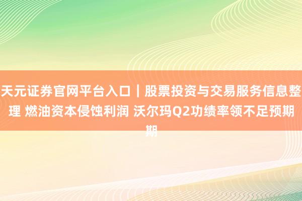 天元证券官网平台入口｜股票投资与交易服务信息整理 燃油资本侵蚀利润 沃尔玛Q2功绩率领不足预期