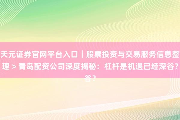 天元证券官网平台入口｜股票投资与交易服务信息整理 > 青岛配资公司深度揭秘：杠杆是机遇已经深谷？